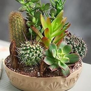 Meet your Posher, Laurie